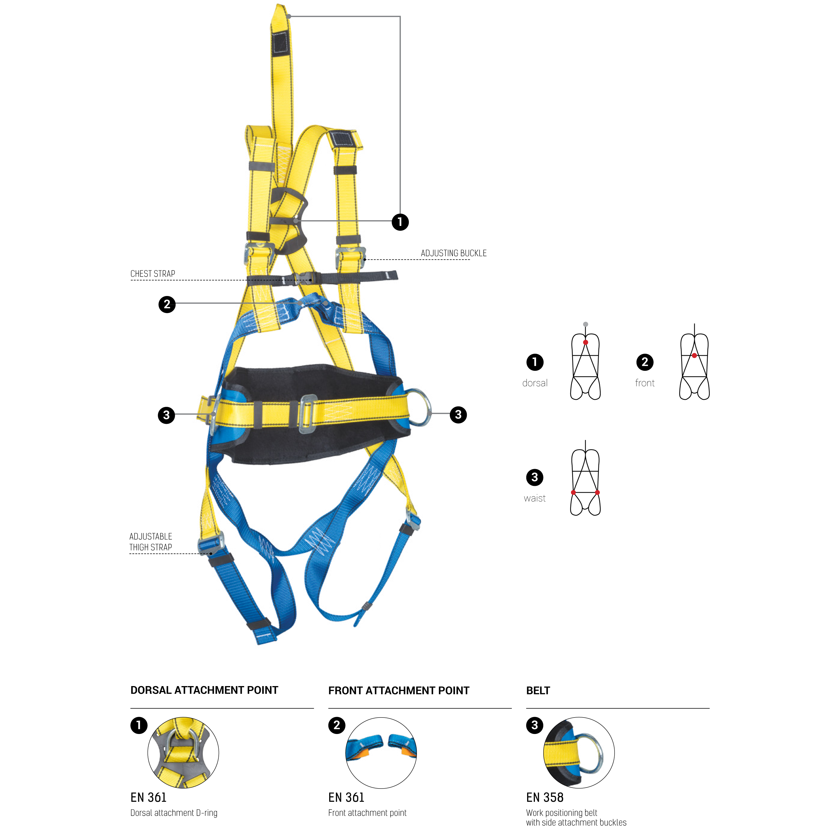 PROTEKT P50 Safety Harness with 1 D-Ring at the Back, 2 D-Ring at the ...